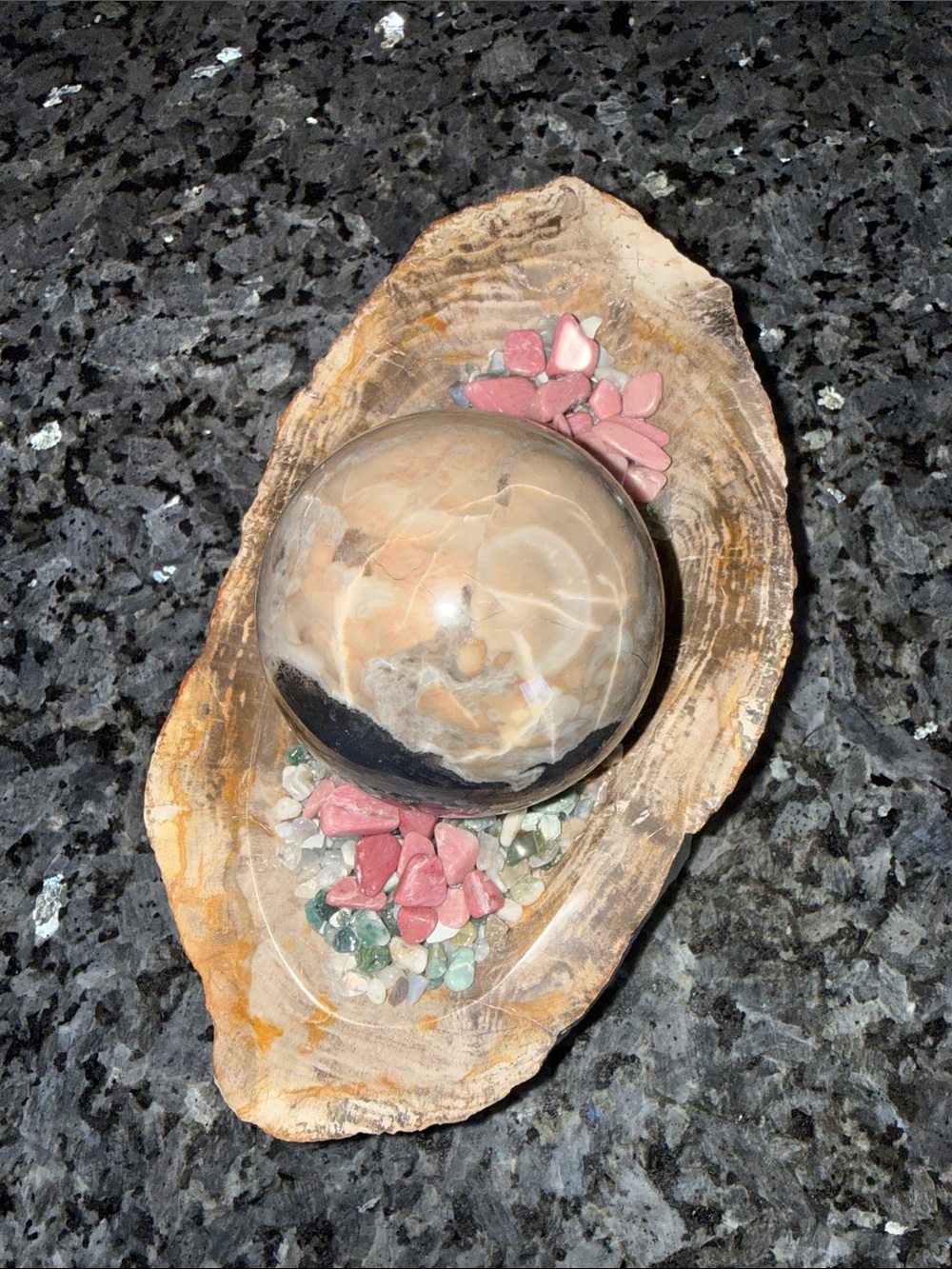 Petrified Wood Custom Bowl A 4.75 x 8.25 4+ LBS - Picture 10 of 12